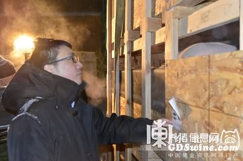 黑龙江省首次引进100头加拿大种猪