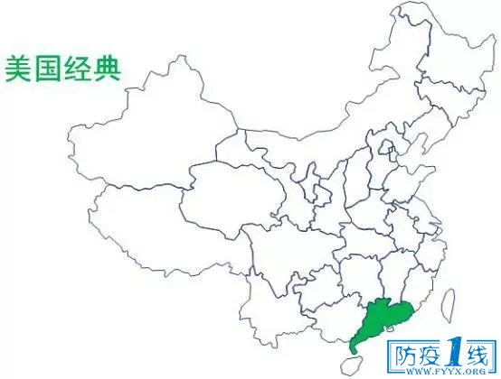 图3 美国经典株分布图
