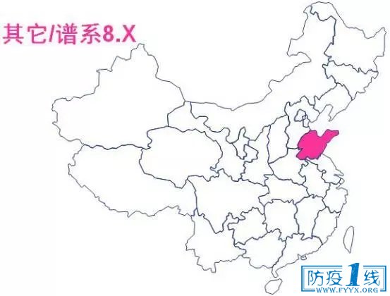图7  其它/谱系8.X毒株分布图