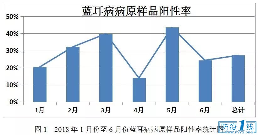 蓝耳病原情况2
