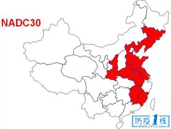 图6  NADC-30类毒株分布图