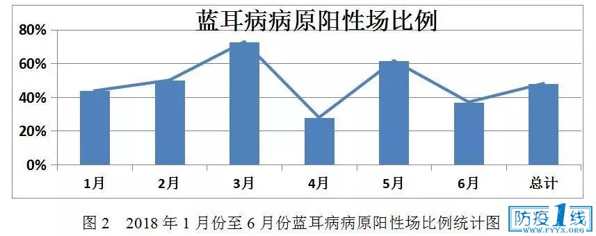 蓝耳病原情况4