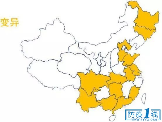 图4 变异株分布图